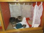 IMG_1120.JPG