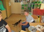 IMG_1144.JPG