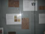 DSCN2017.JPG