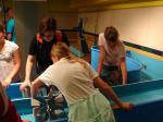 DSC03255.JPG