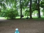 DSCF9708.JPG