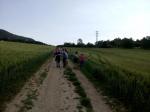 IMG_20190613_094154.jpg