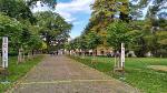 IMG_20191001_115753.jpg