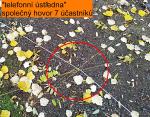 IMG_20191115_134024_1.jpg