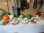 IMG_3561.JPG
