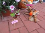 IMG_3651.JPG