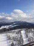 IMG-20200309-WA0050.jpg