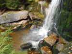 DSCN2399.JPG