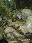 DSCN2396.JPG