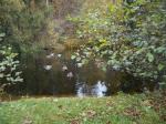 DSCN2384.JPG