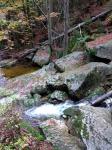 IMG_20201013_171135.jpg