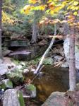 IMG_20201013_171208.jpg
