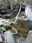 IMG_20201013_171141.jpg