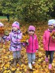 IMG-20210128-WA0044.jpg