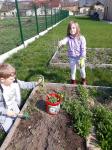 IMG-20210420-WA0007.jpg