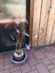 IMG-20210430-WA0005.jpg