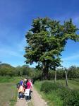IMG-20210602-WA0011.jpg
