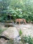 IMG-20210526-WA0004.jpg