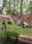 IMG-20210526-WA0003.jpg