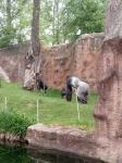 IMG-20210526-WA0012.jpg