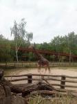 IMG-20210526-WA0006.jpg