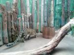IMG-20210526-WA0001.jpg