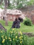 IMG-20210526-WA0011.jpg