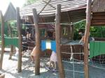 IMG-20210628-WA0029.jpg