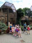 IMG-20210628-WA0016.jpg