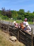 IMG-20210628-WA0025.jpg