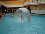 DSC04334.JPG