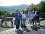 DSC04275.JPG