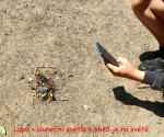 IMG_20220603_131621-1.jpg