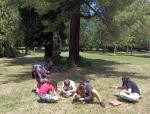 IMG_20220603_131317.jpg