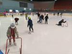 IMG_20221115_121746.jpg