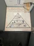 IMG-20231012-WA0013.jpg