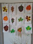 IMG-20231025-WA0026.jpg