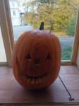 IMG-20231031-WA0085.jpg