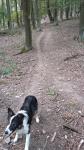 IMG-20230925-WA0013.jpg