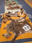 IMG-20231128-WA0001.jpg