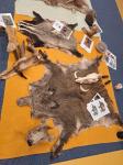 IMG-20231128-WA0022.jpg