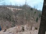 IMG-20240115-WA0032.jpg