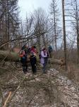 IMG-20240115-WA0008.jpg