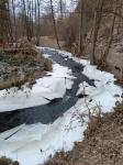 IMG-20240115-WA0022.jpg