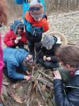 IMG-20240115-WA0003.jpg