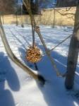 IMG-20240119-WA0005.jpg
