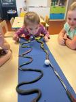 IMG-20240202-WA0005.jpg