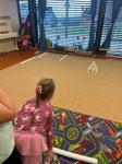 IMG-20240202-WA0026.jpg
