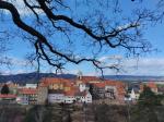 IMG-20240226-WA0020.jpg