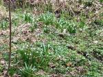 IMG-20240307-WA0020.jpg